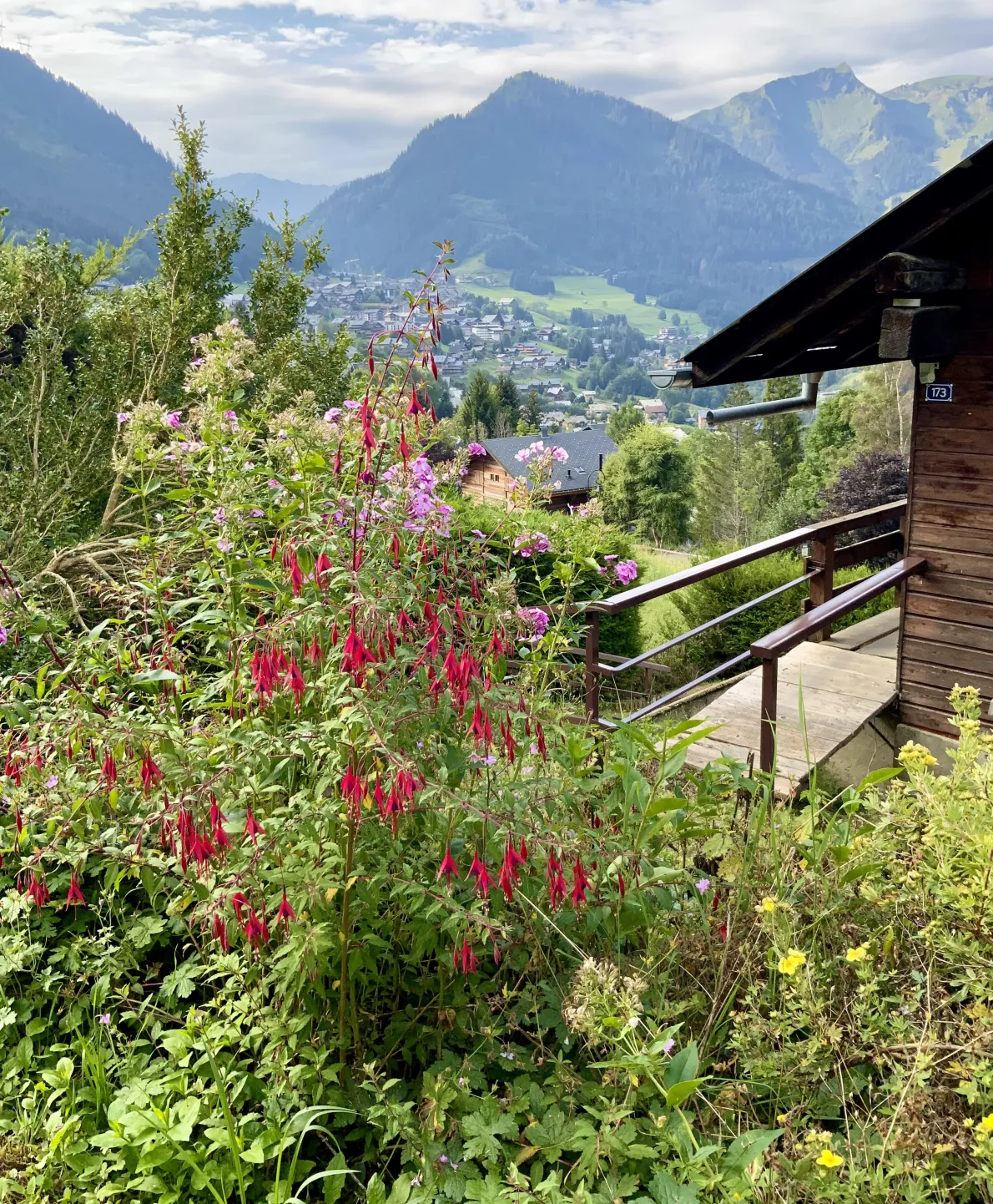 Les fleurs de l'été autour du chalet