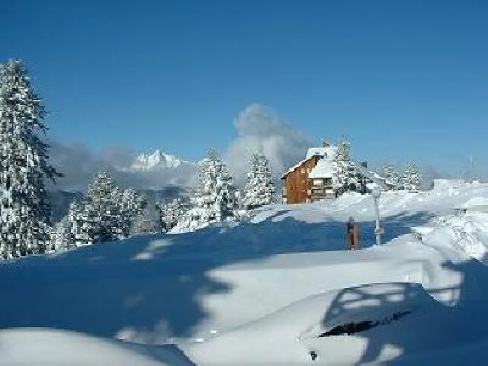Au coeur de la station de Guzet 1500, 20m des pistes, très proches commerces, proche piscine et tennis l'été ,à la résidence des Clarines,  agréable studio duplex lambrissé 5 pers -2ème étage/2 séjour avec kitchenette et clic clac + Chambre fermée + 2 sdb
