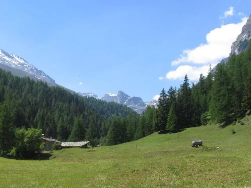 Superbe vue vers le sud (depuis le terrain)