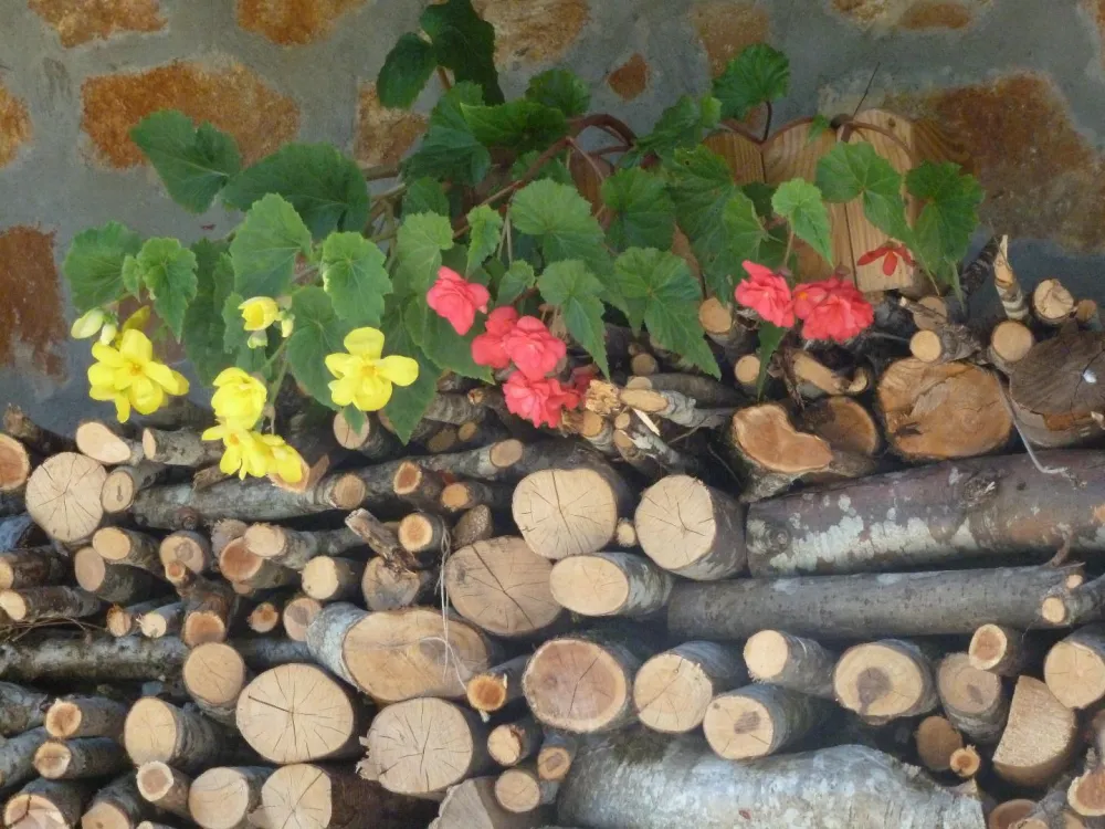 Chalet blanchon