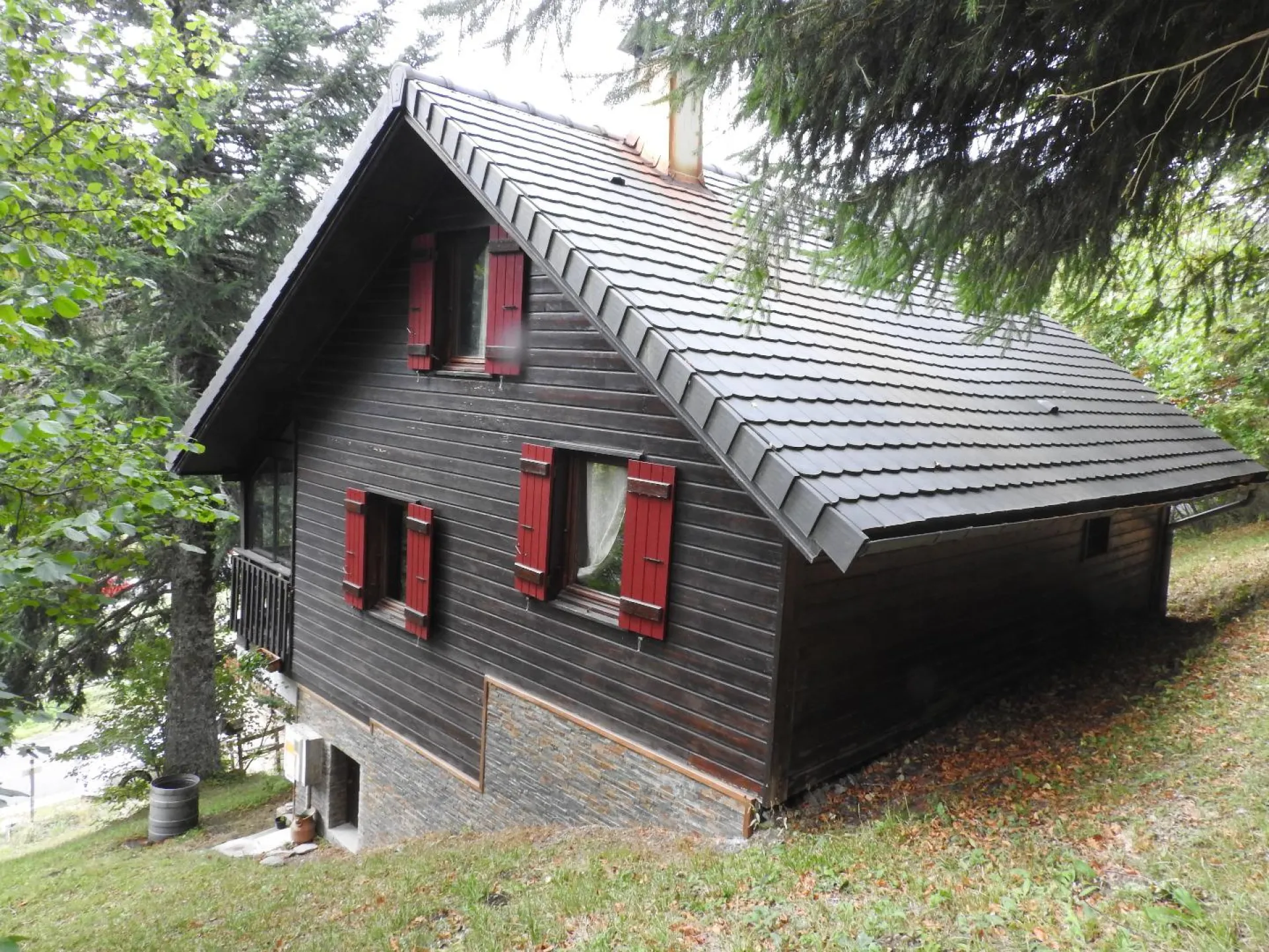 En été, côté forêt