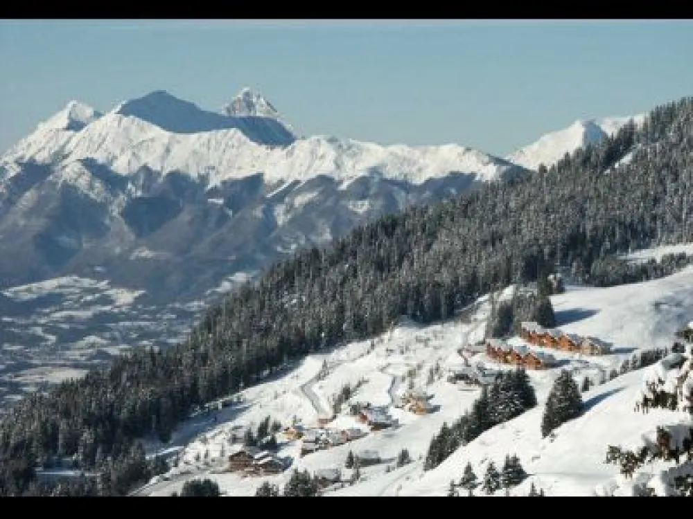BISANNE 1500