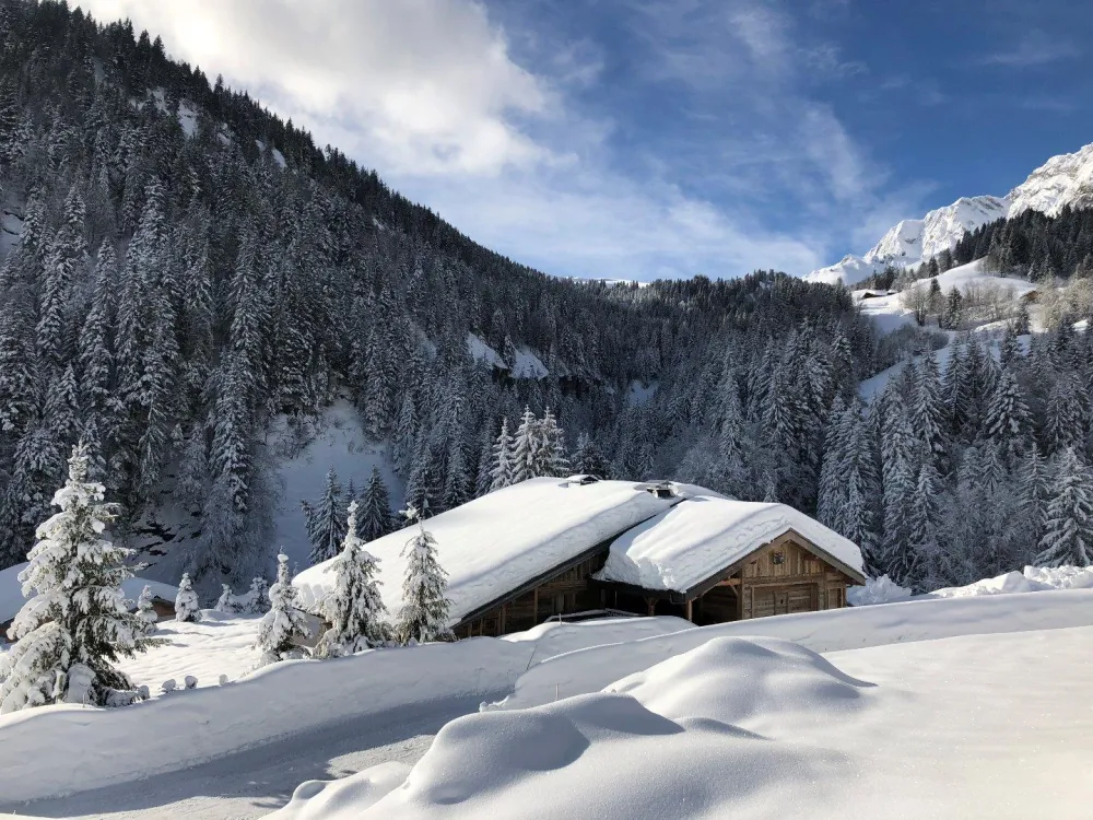 Chalet de l'armanaz (capacité de 36 personnes)