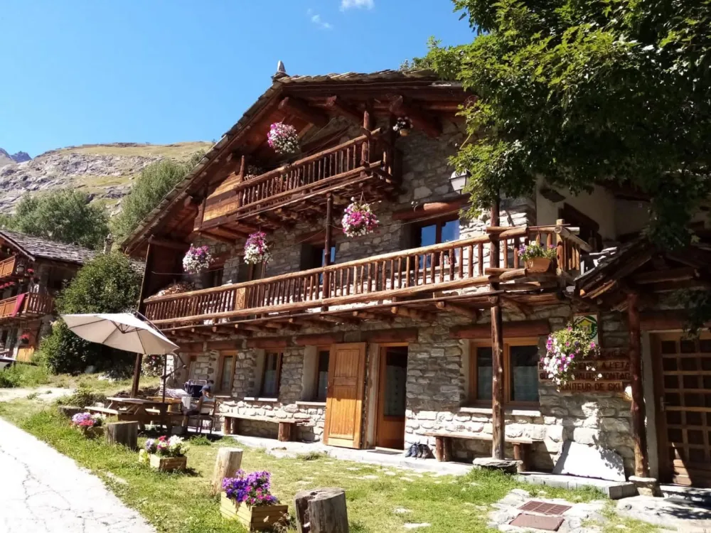 Les pervenches