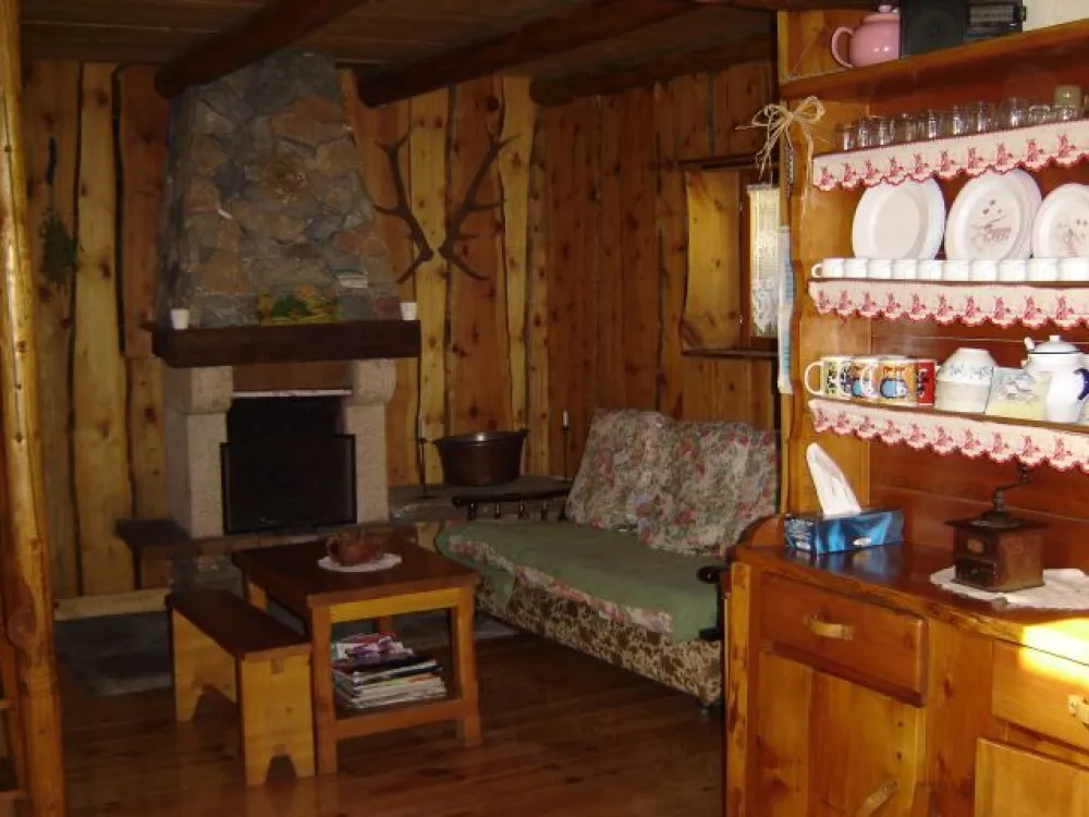 Coin détente avec cheminée, boiserie en pins cembro (arbre présent au dessus de 2000m)