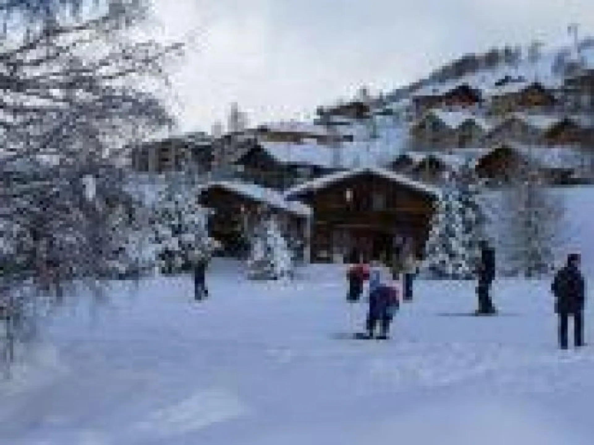 PREMIER CHALET EN VUE SUR LA PHOTO , SANS VIS A VIS PROCHE ; SON JARDIN DONNE SUR UNE PISTE VERTE CALME QUI CONDUIT AUX TELESIEGES EN DEUX MINUTES DE SKI :  DEPART ET RETOUR AU CHALET SKIS AUX PIEDS