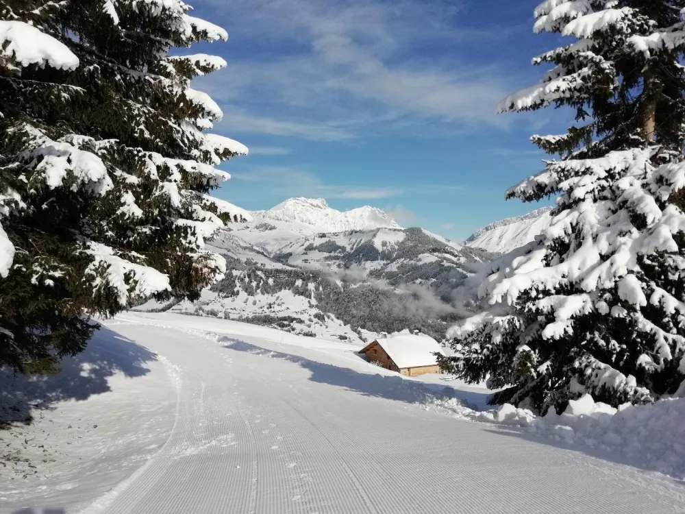 L'alpage de crestera,  mont charvin superbe vue panoramique, espace diamant