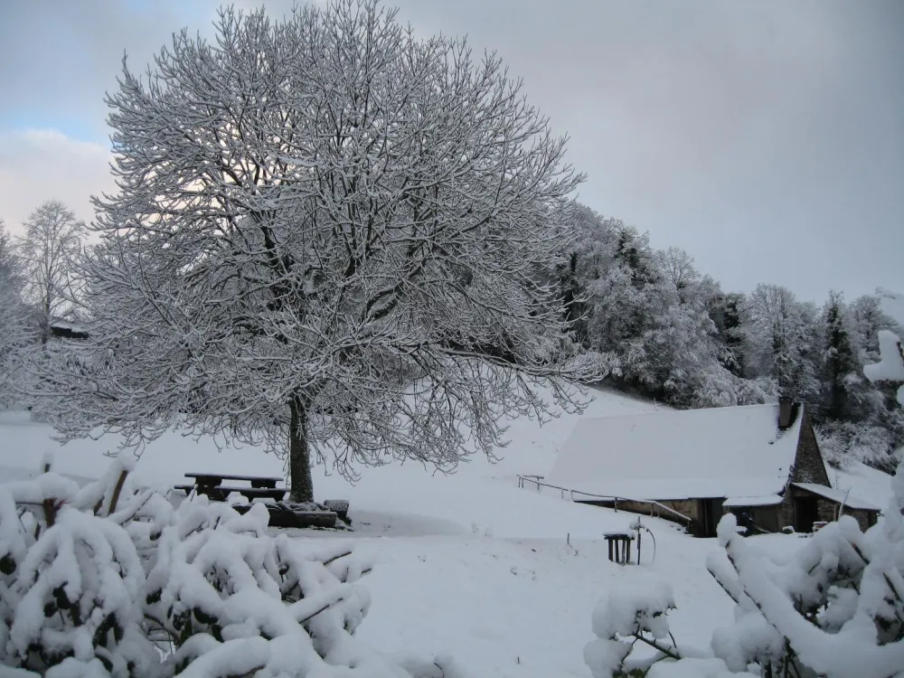Sous la neige