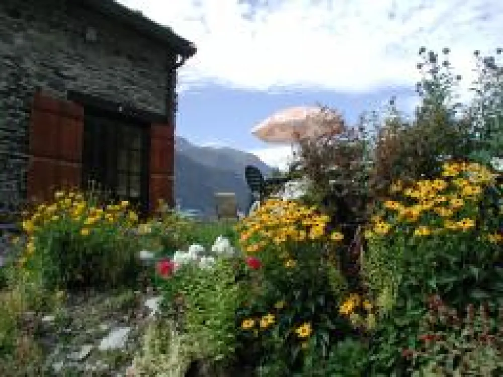 en été le jardin