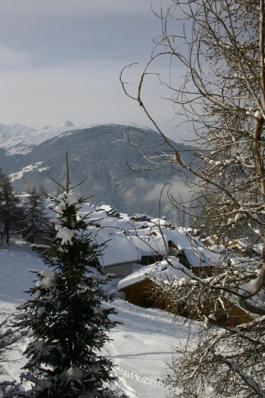 Vue de l'ensemble des chalets depuis la piste du dessus
