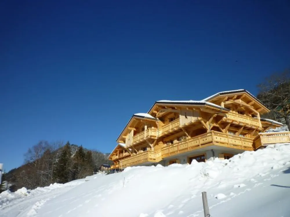 Chalet de standing l'etagne avec spa, sauna et balneo