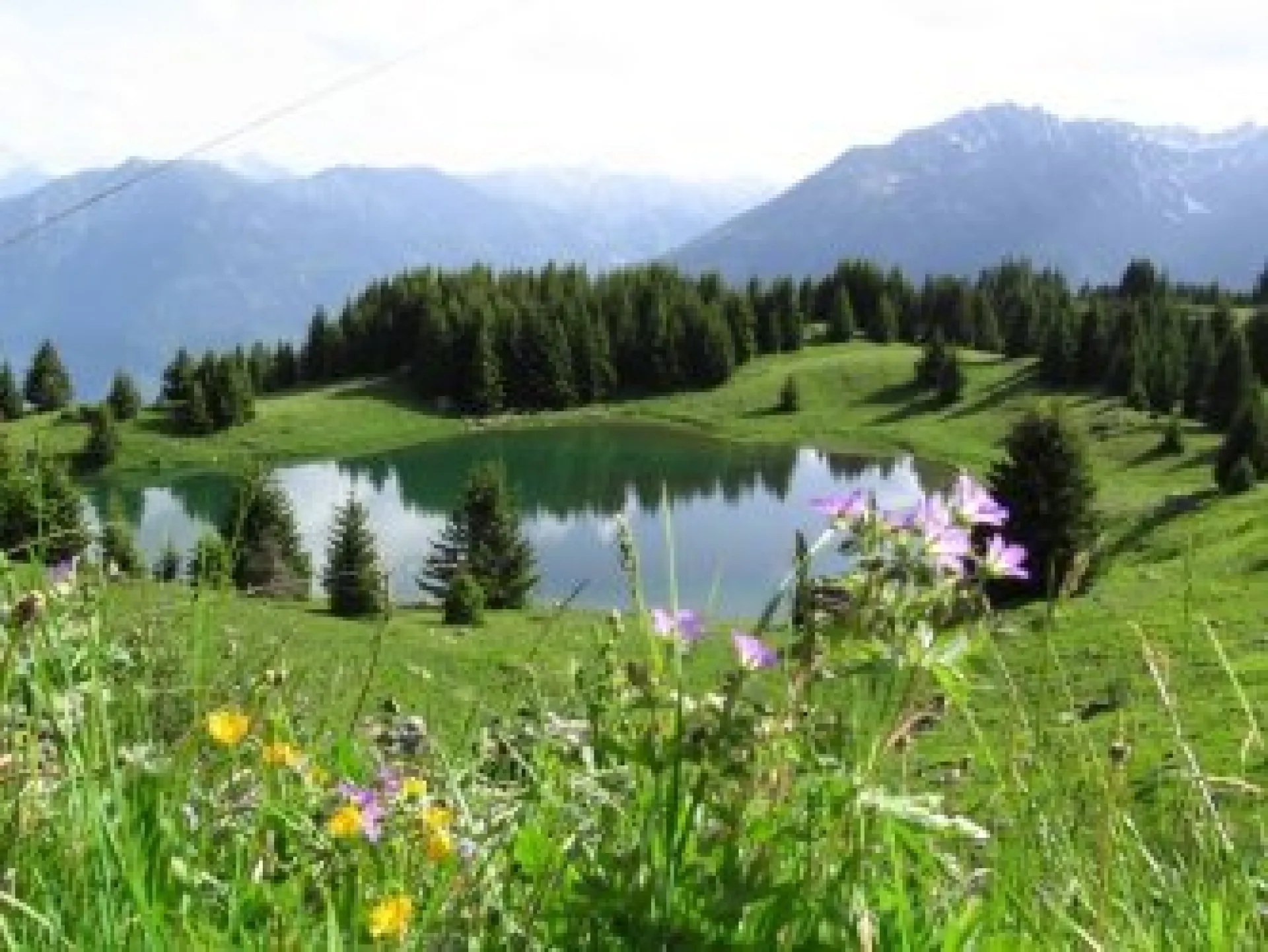 ballade traditionnelle en été : Le lac de la grande léchère
Randonnée depuis Saint François à pied ou en vélo musculaire ou électrique...également accessible en voiture !
