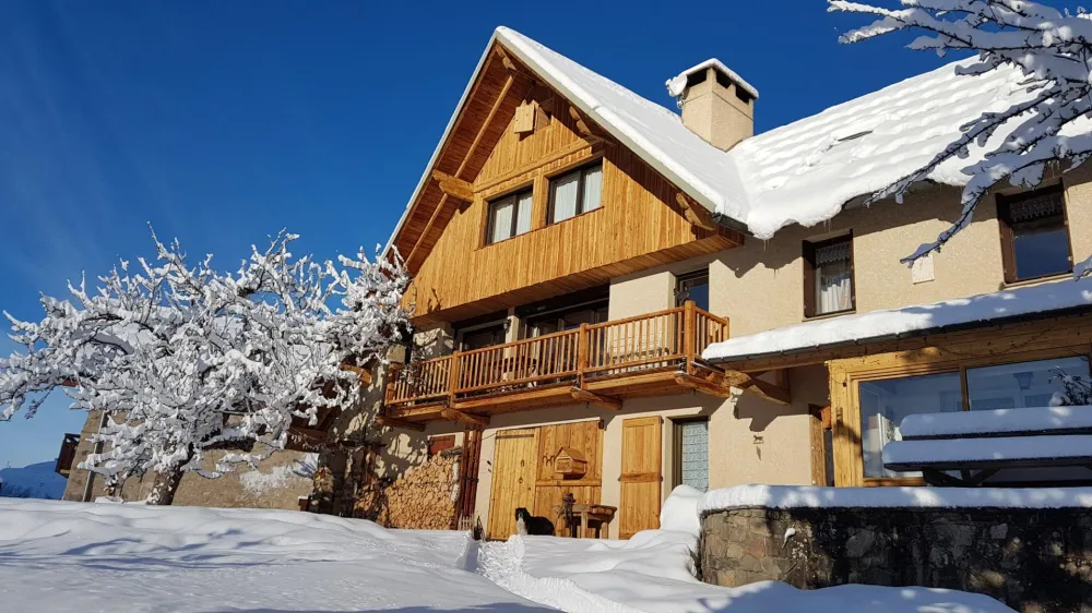 La forestière en hiver