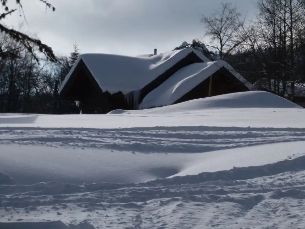 Malgré les pistes proches skis et fond, le chalet et dans un environnement très calme , on peut chausser les skis à 10 m du chalet