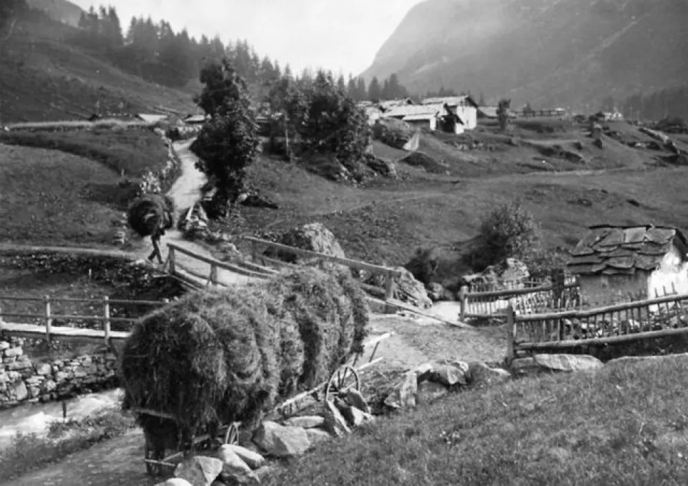 Photographie du début du siècle dernier — vue sur le hameau des Montets —.
