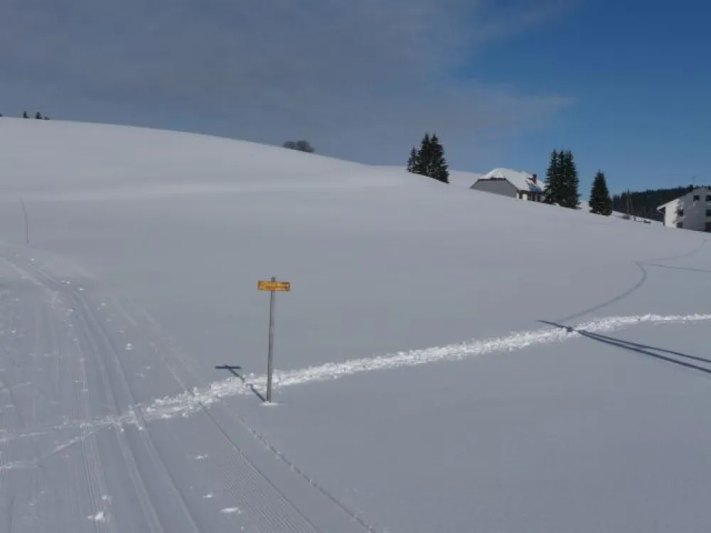 Nombreuses pistes de ski nordiques et pistes de raquettes.