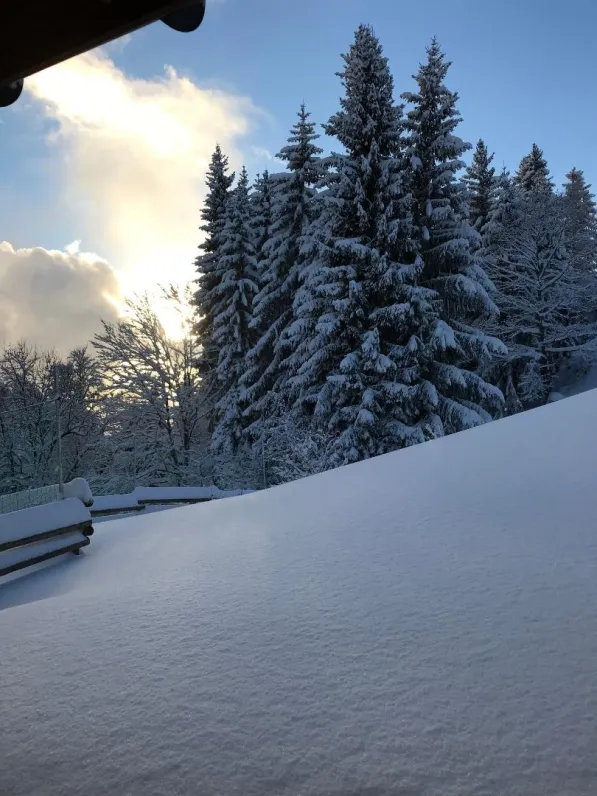 Vue de l'appartement