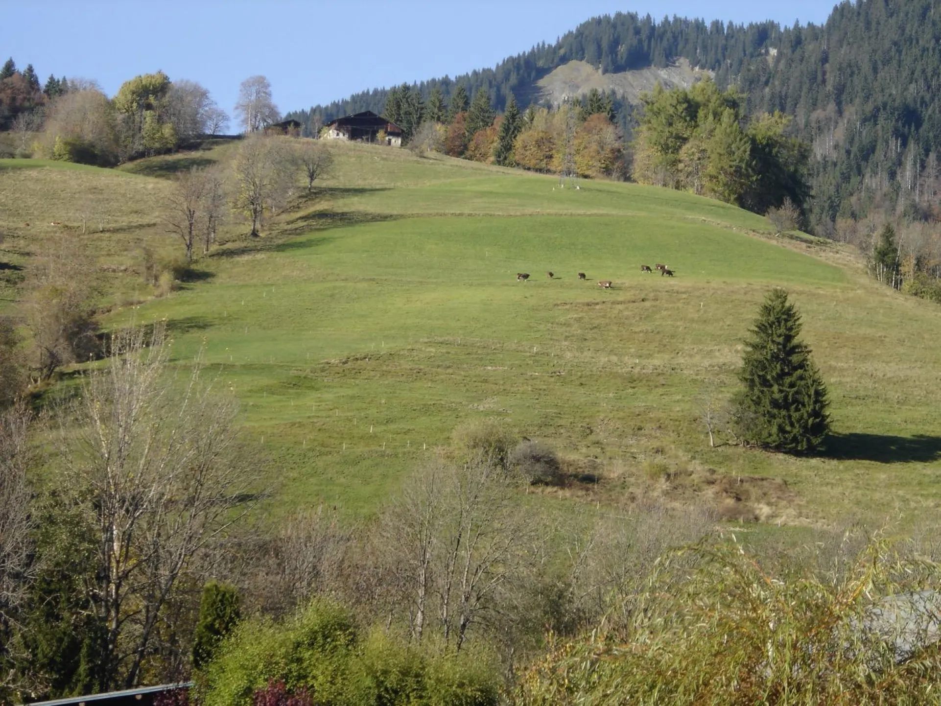 Vue en été