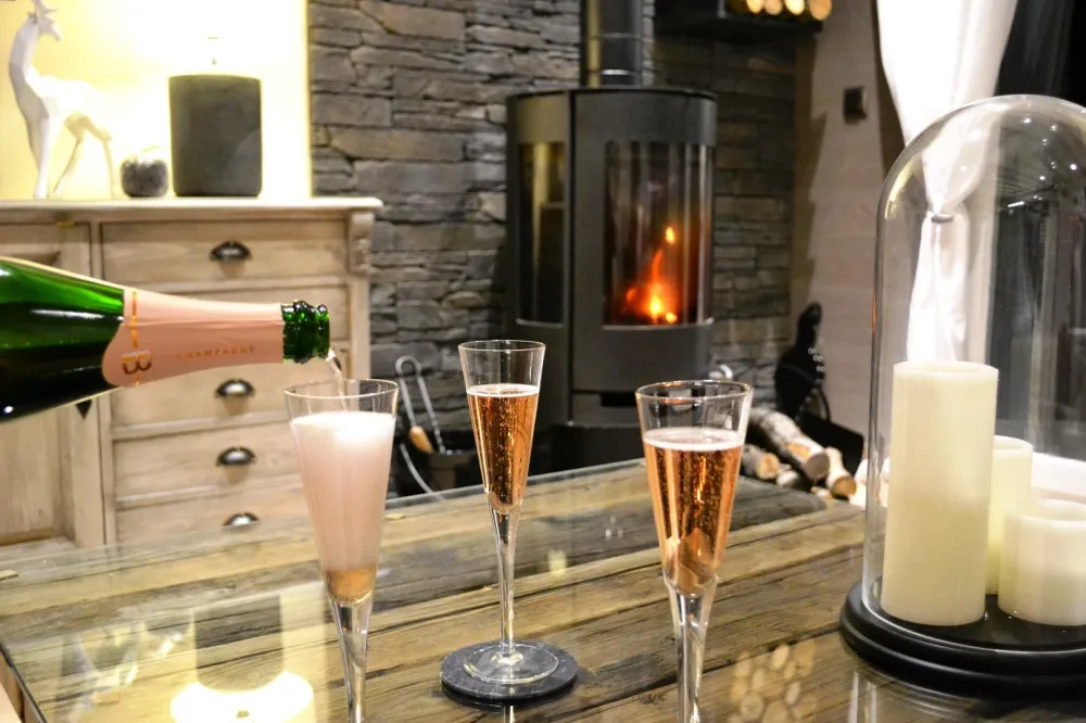 Salon et poêle ( bois offert)