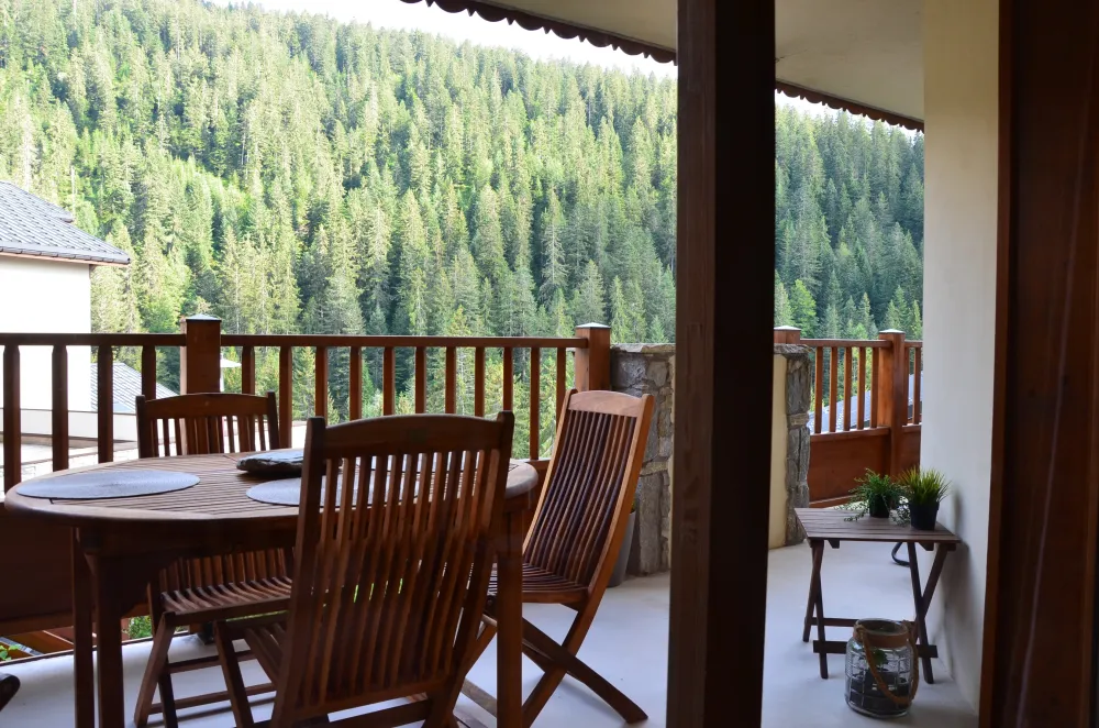 Espace extérieur et sa vue sur la montagne couverte de sapins l'été.