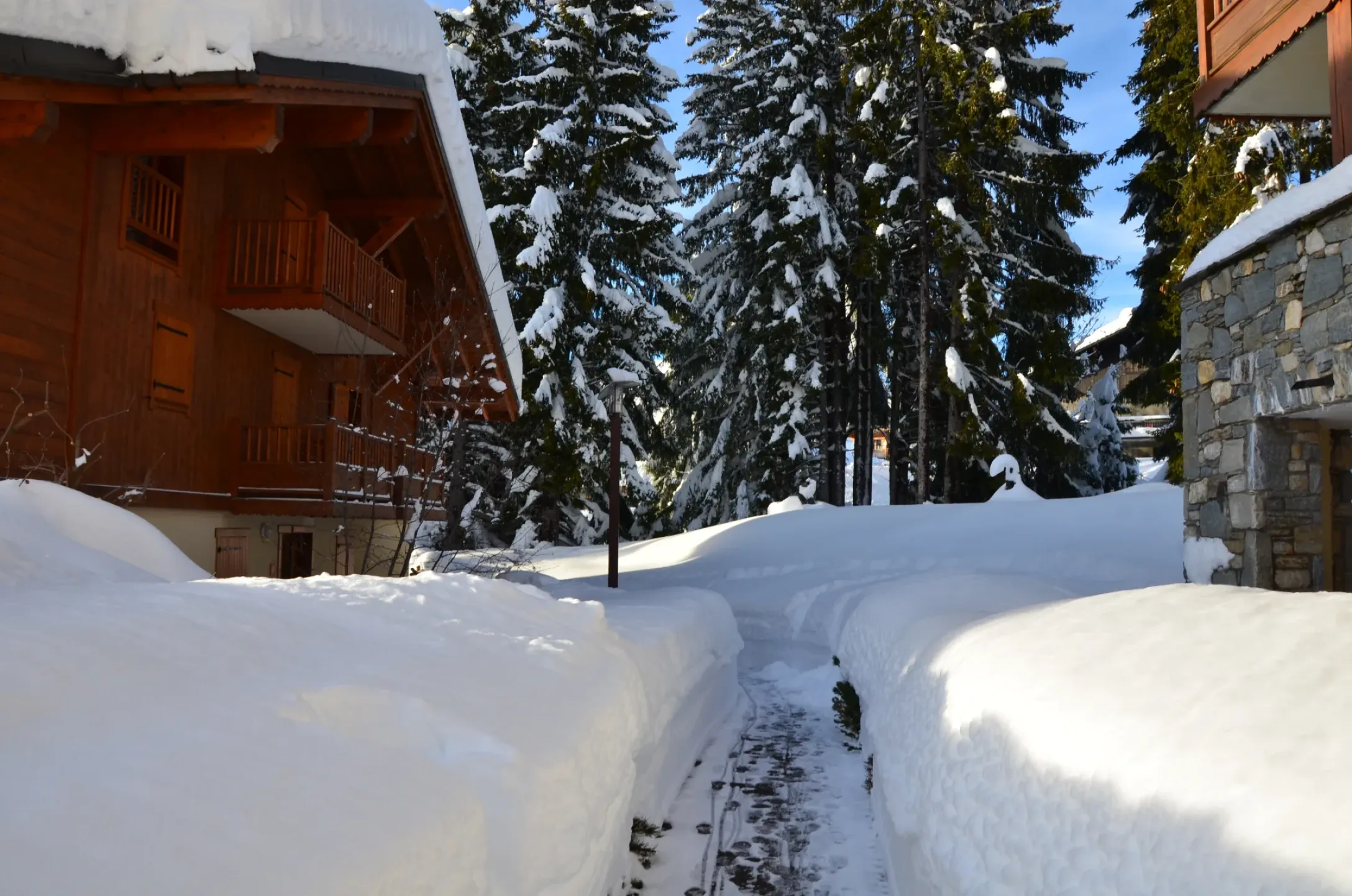 Chemin d'accès au chalet