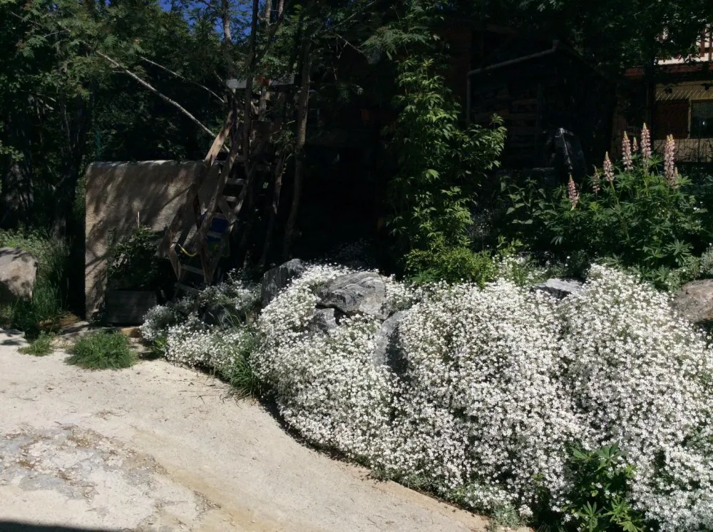 Jardin ete
