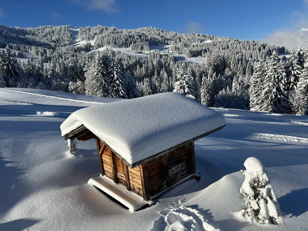 Vue depuis l'appartement
