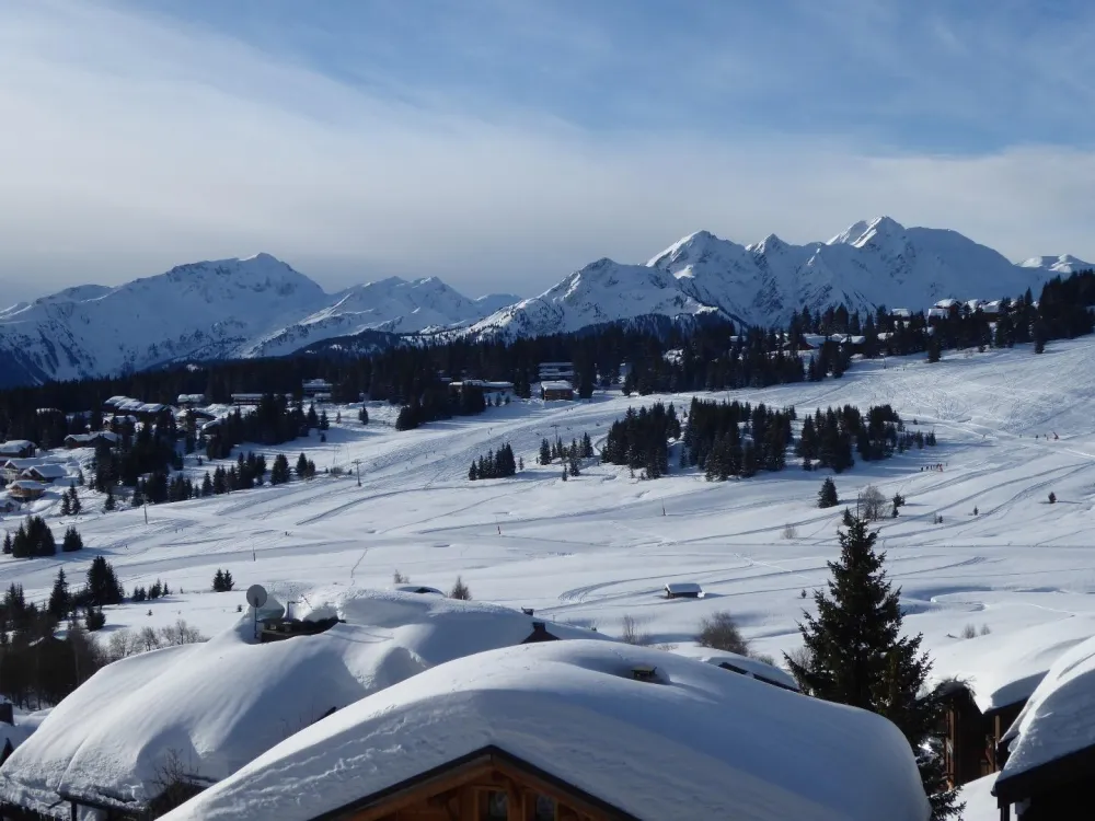 Vue à 180° plein sud qui vous laisse rêveur face à ces merveilles de la nature. Hiver comme été , vous êtes séduits . Laissez vous porter...et profitez !!!
