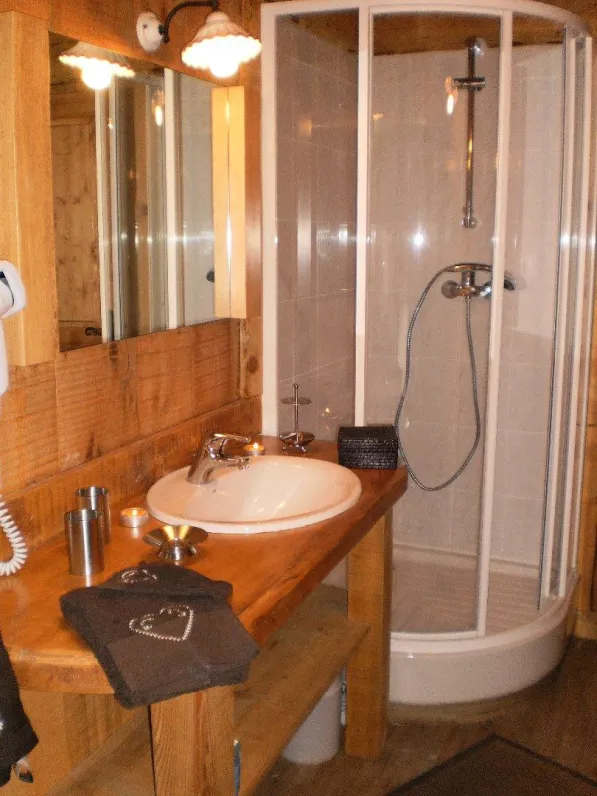 salla de bain avec douche lavabo et wc sous le toit