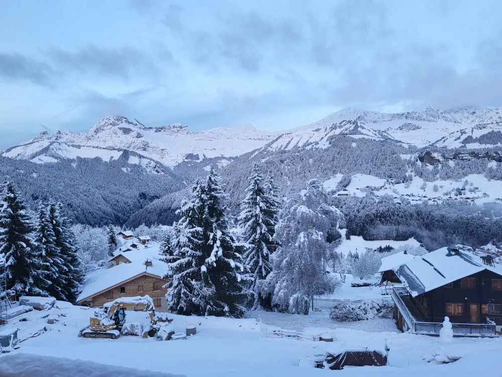 Chalet de charme en entier, ski au pied, été-hiver