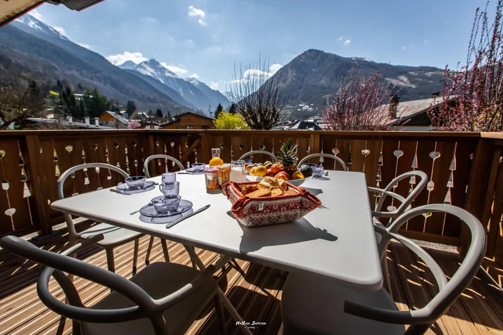 Depuis la terrasse: vue imprenable sur les Pyrénées