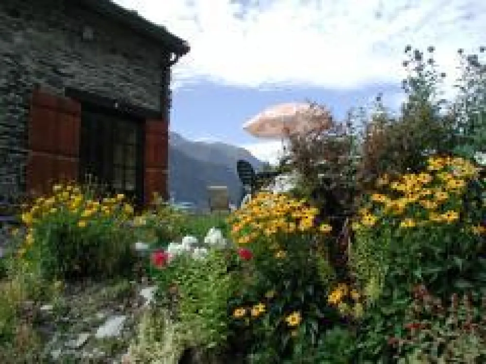 le jardin