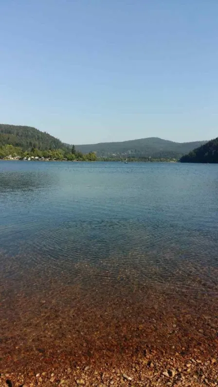 Le lac de Longemer à 1.5 km du chalet,