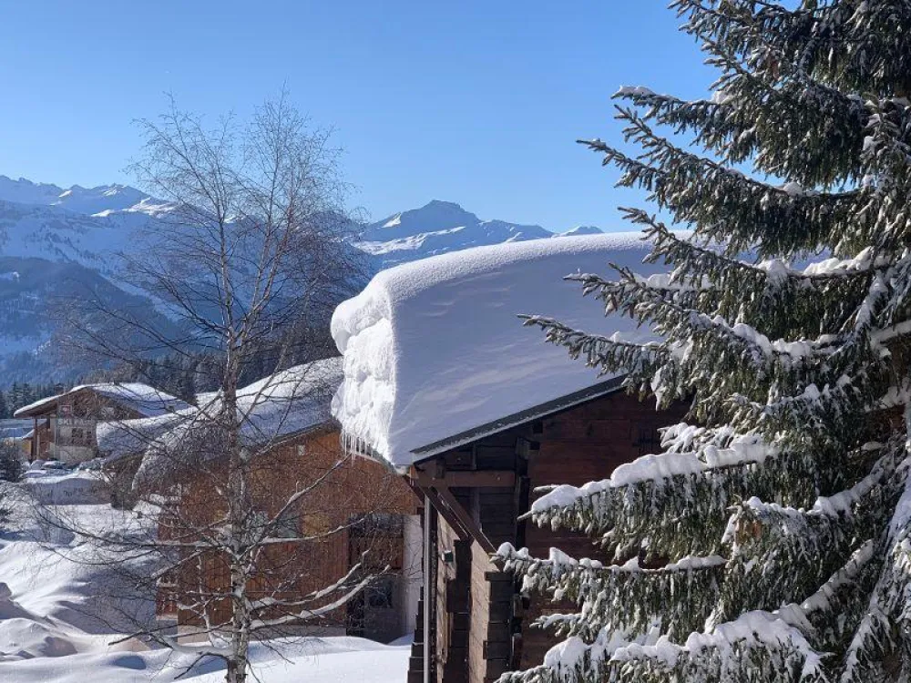 Chalets jorasse c3