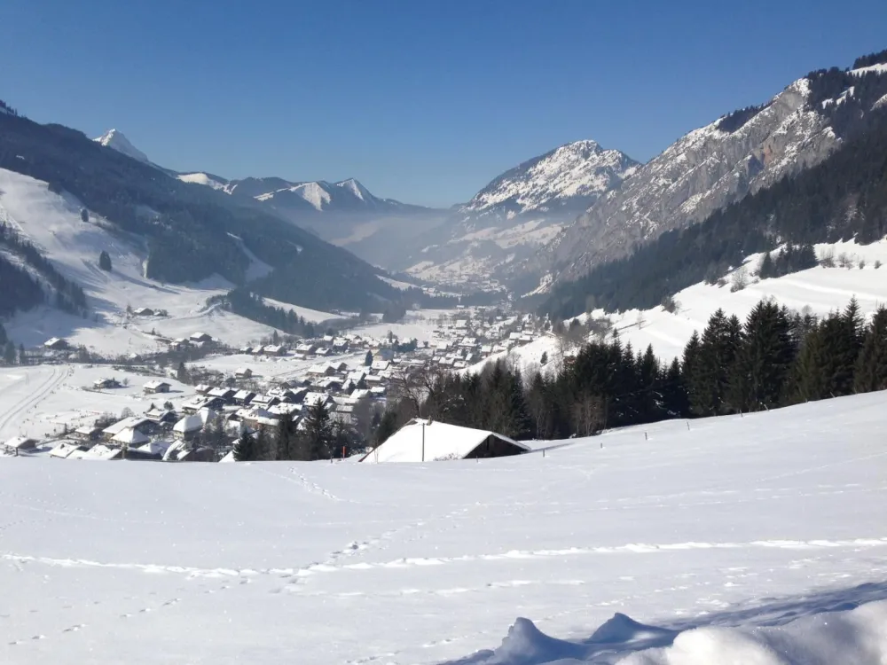 la vue de le chalet avec le pistes en face
