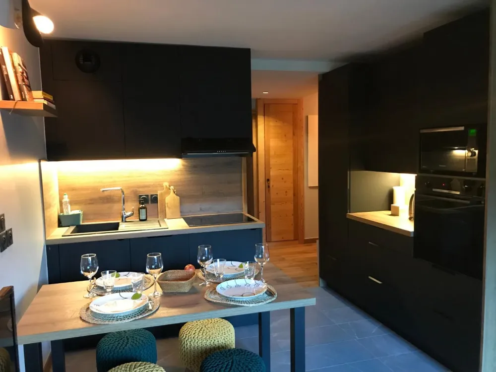 Cuisine entièrement aménagée (four/micro-ondes/plaque induction/lave-vaiselle/lave-linge)