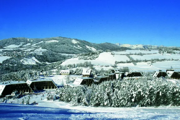 Photo #1